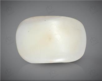 Natural White Coral ( Safed Moonga) Certified  9.57 CTS. ( 91475 )